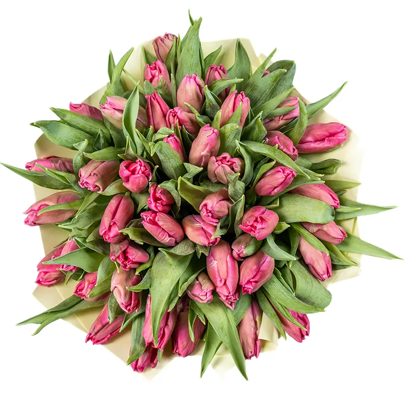 Букет из 47 розовых попугайных тюльпанов Марвел Пэррот (02055)