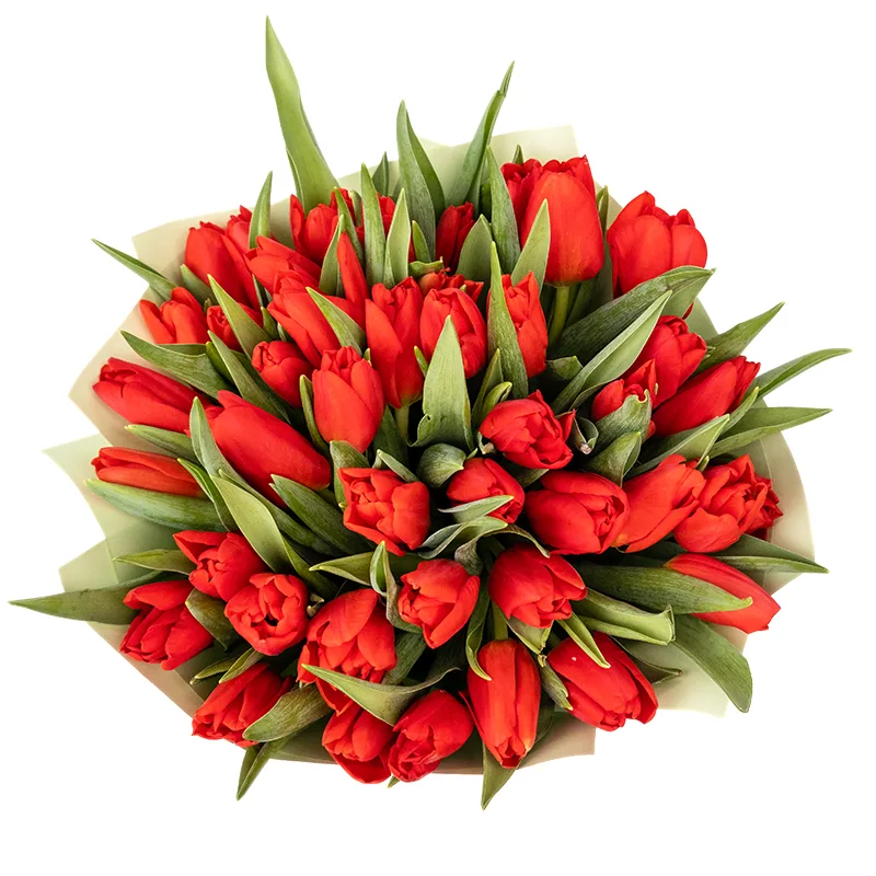 Букет из 43 красных тюльпанов (01883)