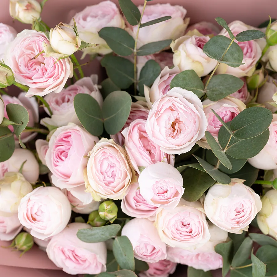 Букет из 7 нежно-розовых кустовых пионовидных роз Дедикейшн с эвкалиптом (03044)