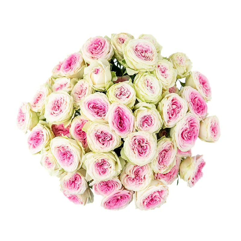 Букет из 9 розовых кустовых пионовидных роз Джелато (01173)