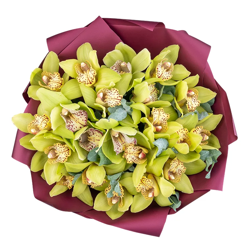 Букет из 21 зелёной орхидеи Цимбидиум (01838)