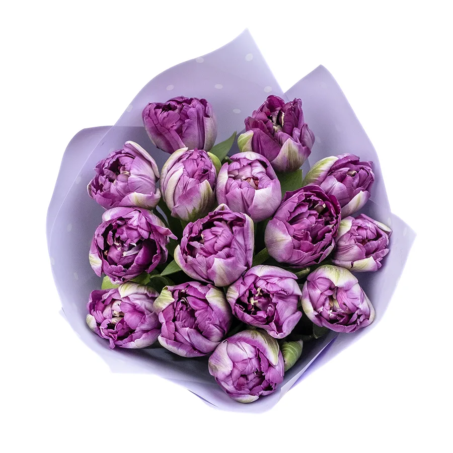 Букет из 15 фиолетовых махровых тюльпанов Сайгон (02395)