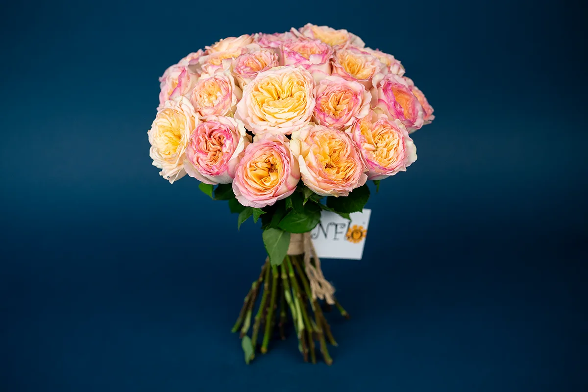 Букет из 25 кремово-розовых пионовидных роз Флешбек Саммерхаус (01417)