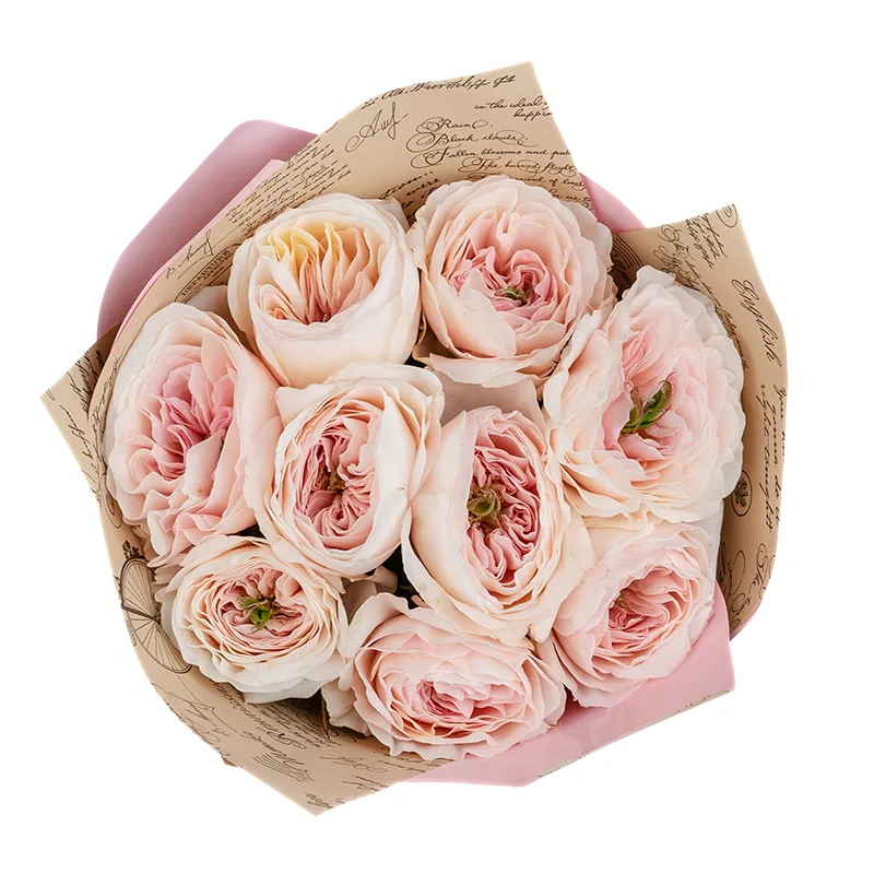 Букет из 9 нежно-розовых садовых роз Дэвида Остина Чарити (01509)