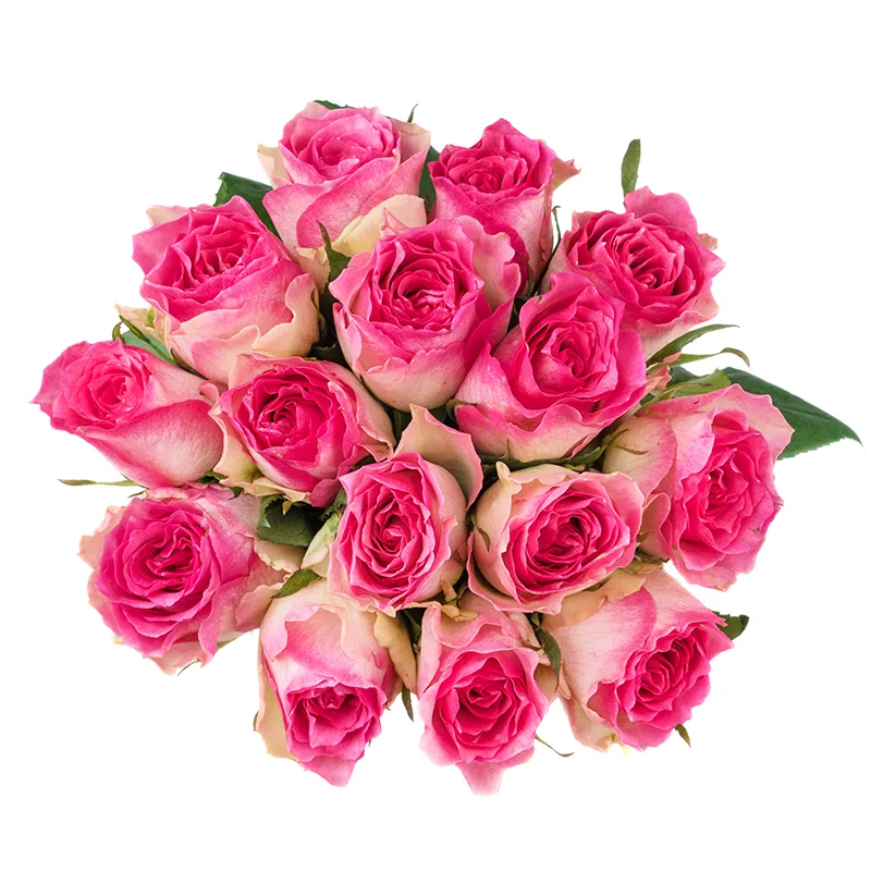 Букет из 15 бело-розовых роз Малибу (01441)