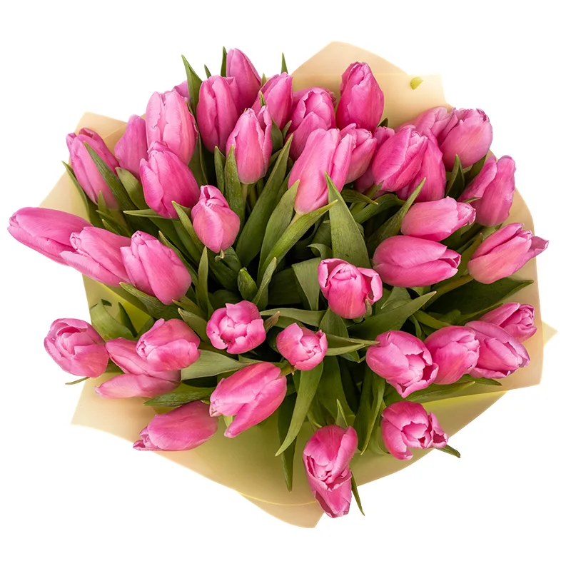 Букет из 43 розовых тюльпанов (01947)