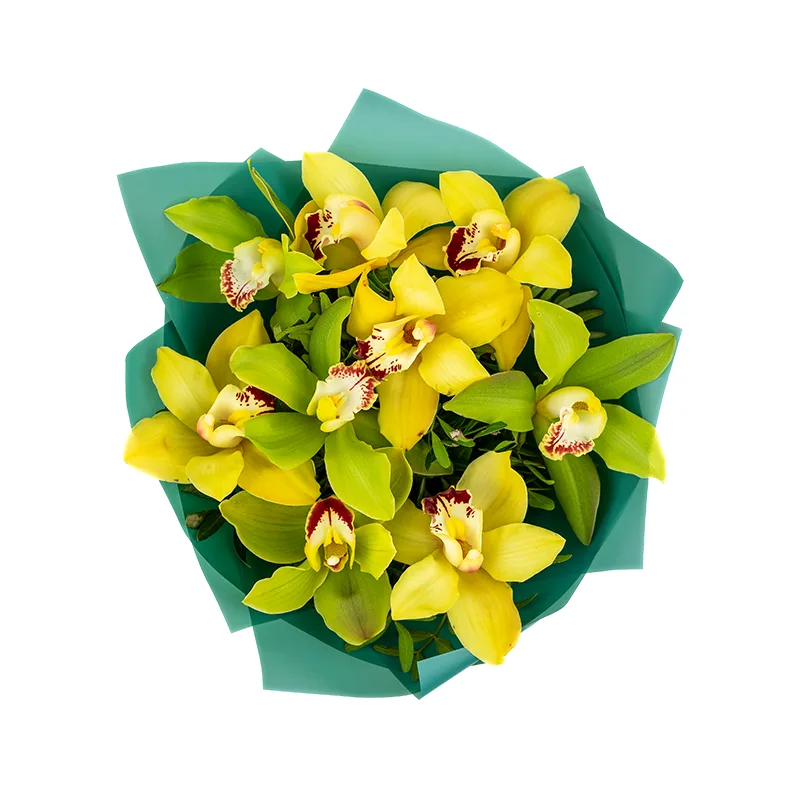 Букет из 9 зелёных и жёлтых орхидей Цимбидиум (01194)