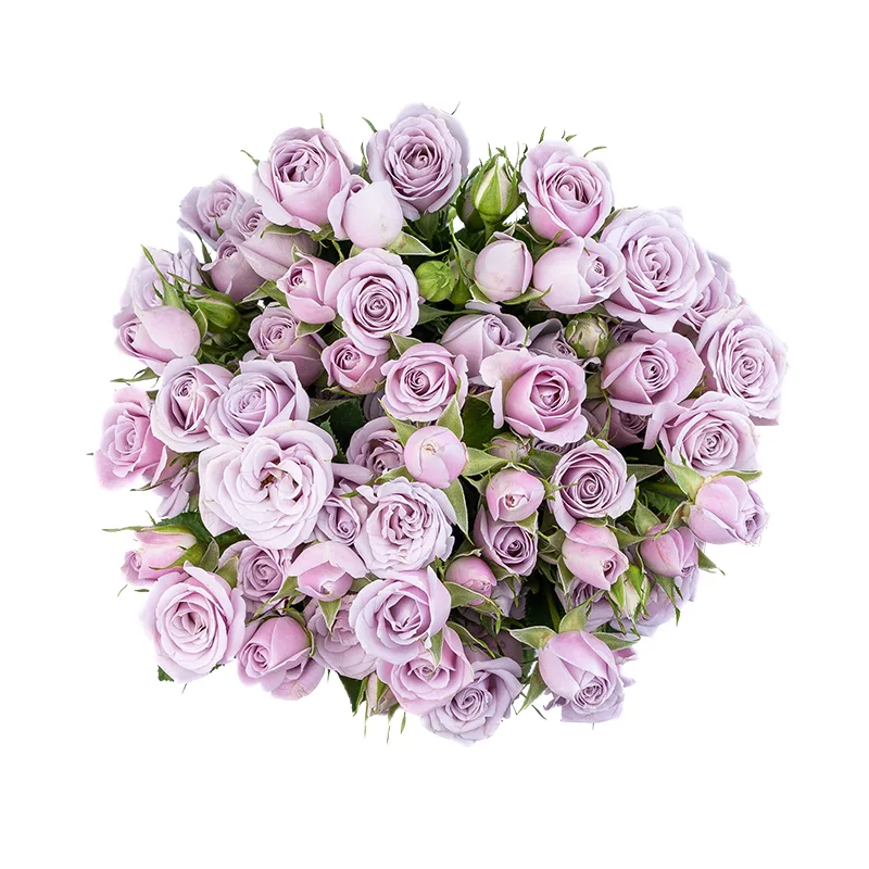 Букет из 13 нежно-сиреневых кустовых роз Сильвер Шадоу (01852)