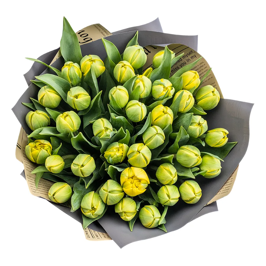 Букет из 37 желтых махровых тюльпанов Йелоу Помпонет (02438)