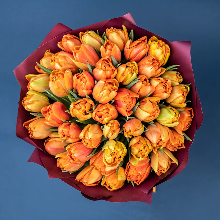 Букет из 45 оранжевых махровых тюльпанов Айкун (02295)