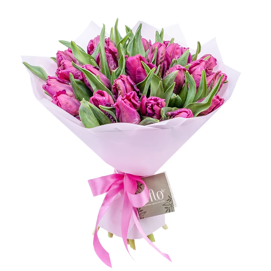 Букет из 25 фиолетовых попугайных тюльпанов Принц Пэррот (02184)