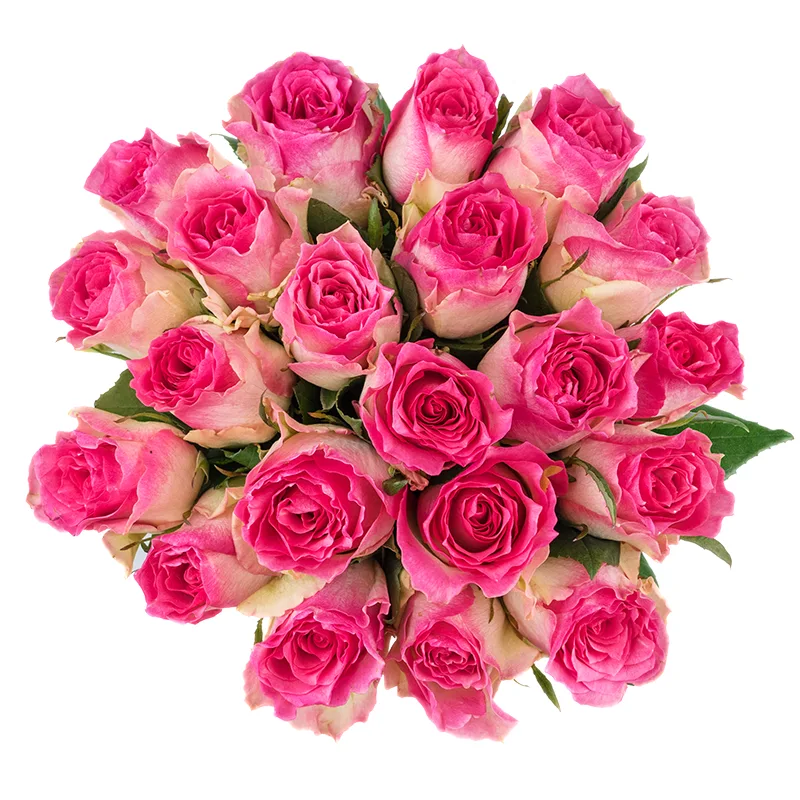 Букет из 21 бело-розовой розы Малибу (01438)