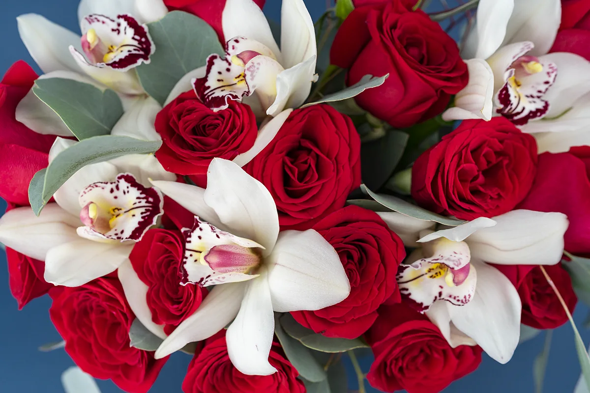 Букет из 17 красных роз и 6 белых орхидей с эвкалиптом (01130)