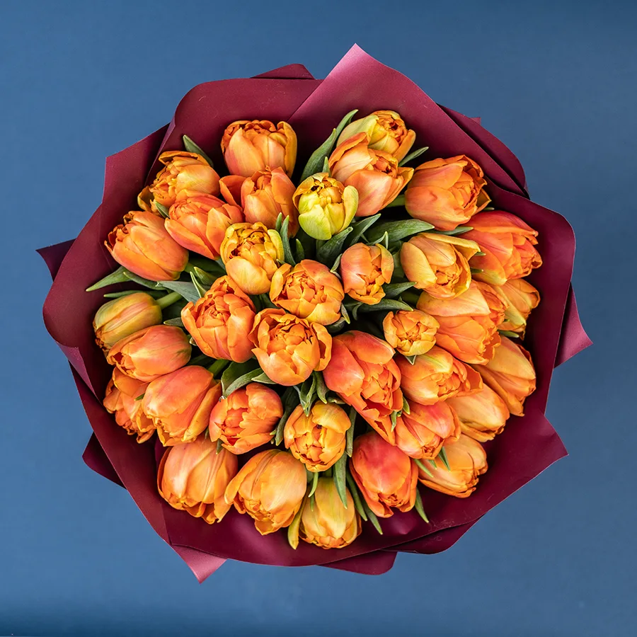 Букет из 35 оранжевых махровых тюльпанов Айкун (02300)