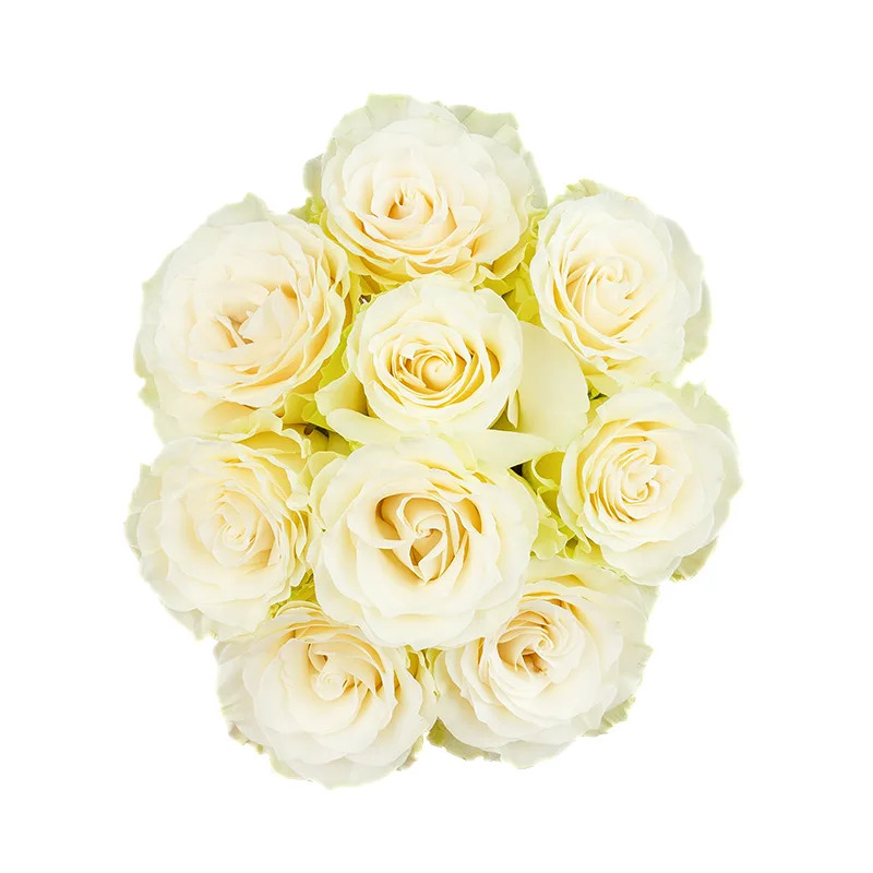 Букет из 9 белых роз Мондиаль (01605)