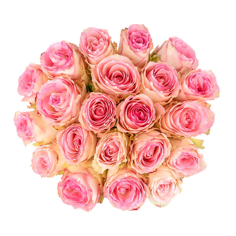 Букет из 21 розовой розы Эсперанс (01236)