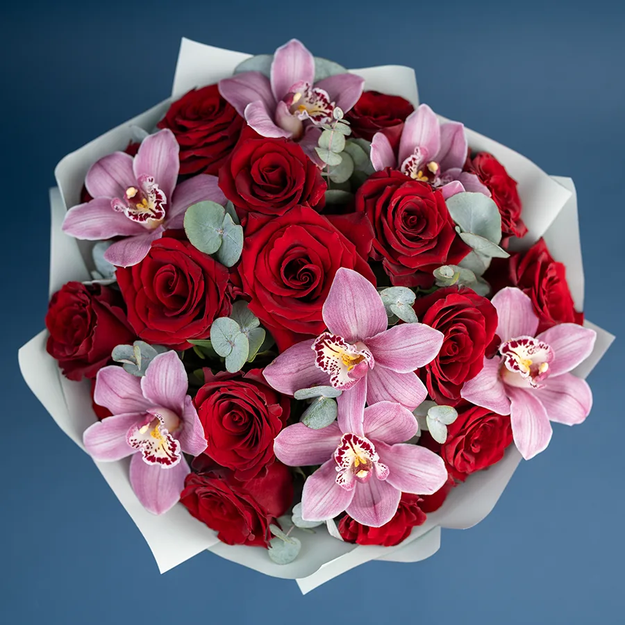 Букет из 23 цветов — бордовых роз Эксплорер и розовых орхидей Цимбидиум (02474)