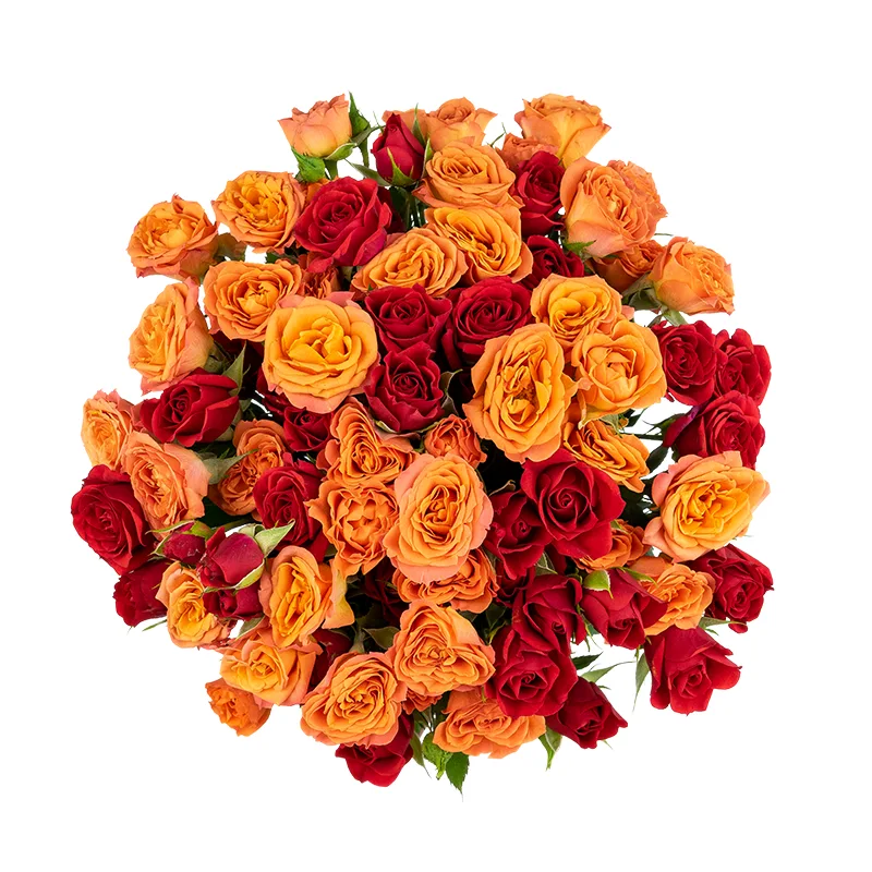 Букет из 13 оранжевых и красных кустовых роз (01658)
