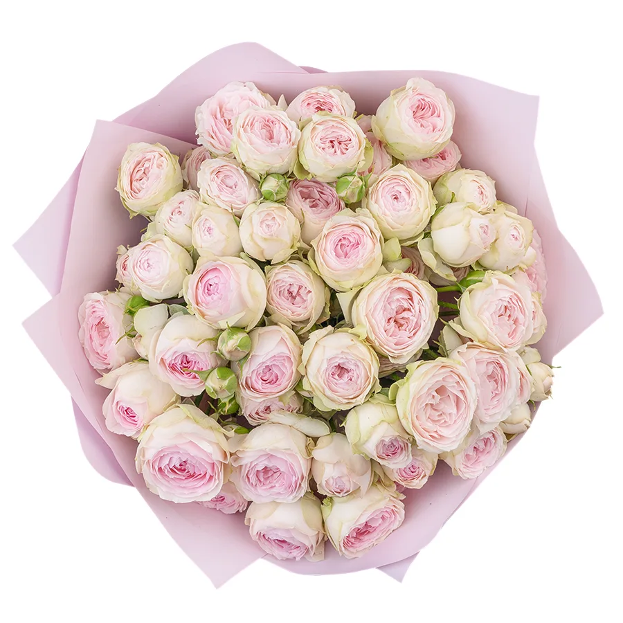 Букет из 11 нежно-розовых кустовых пионовидных роз Дедикейшн (02720)