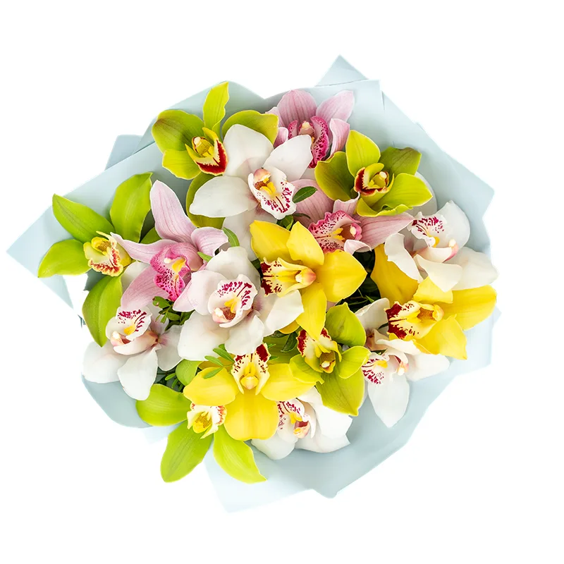 Букет из 17 разноцветных орхидей Цимбидиум (01202)
