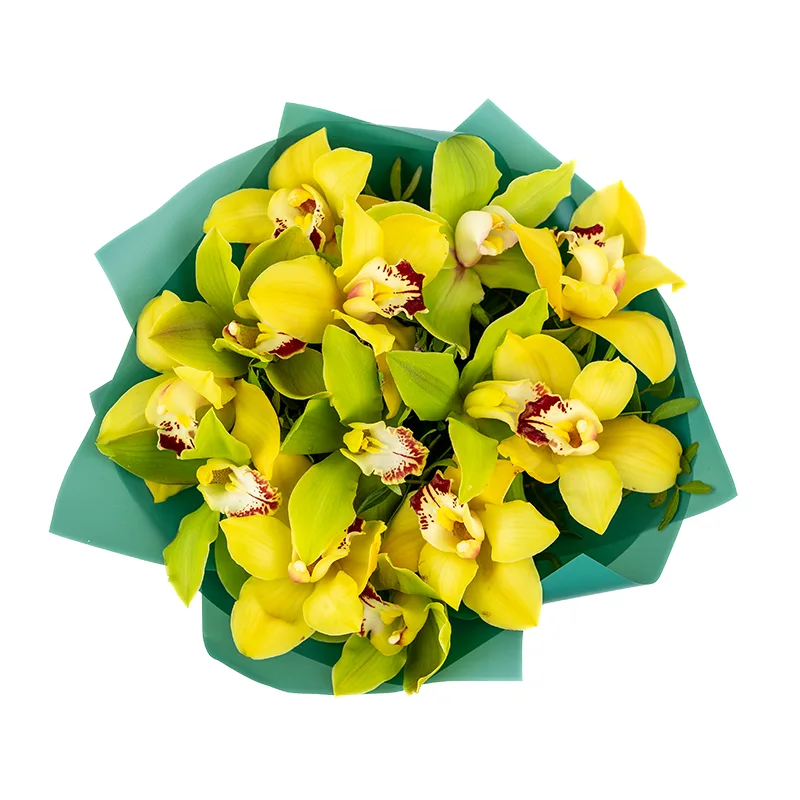 Букет из 13 зелёных и жёлтых орхидей Цимбидиум (01192)
