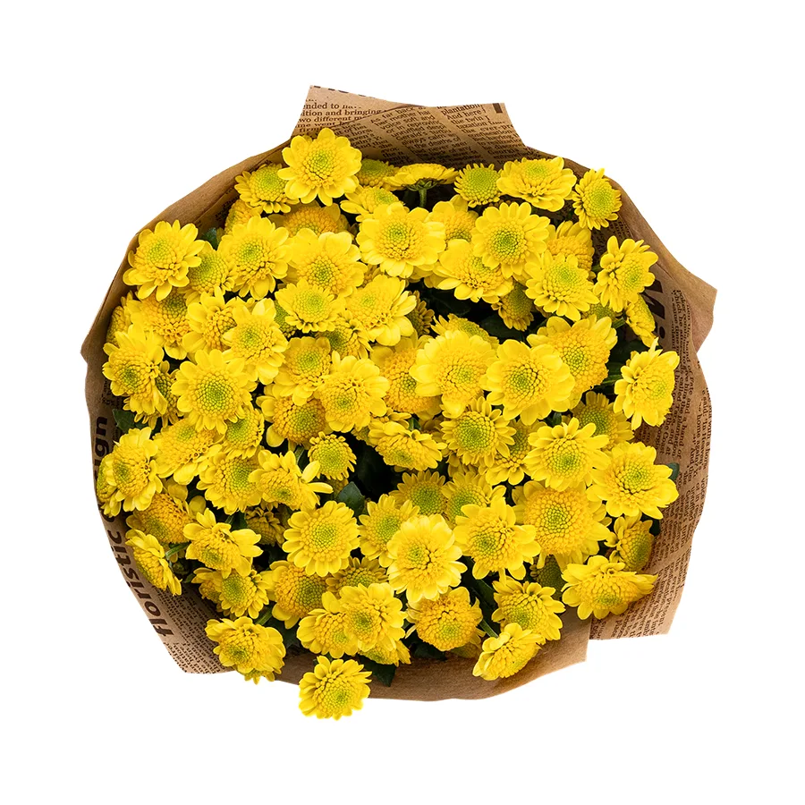 Букет из 11 желтых кустовых хризантем Сантини Сан Ап Санни (02859)
