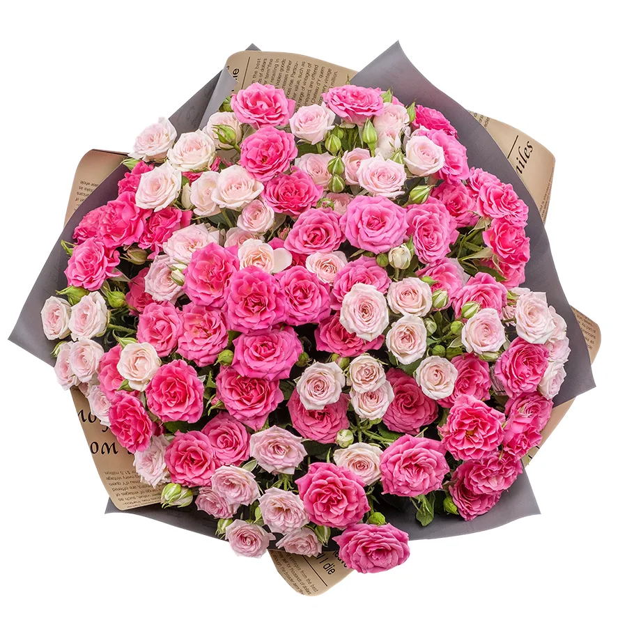 Букет из 17 розовых и малиновых кустовых роз Креми Твистер и Лиана (02489)