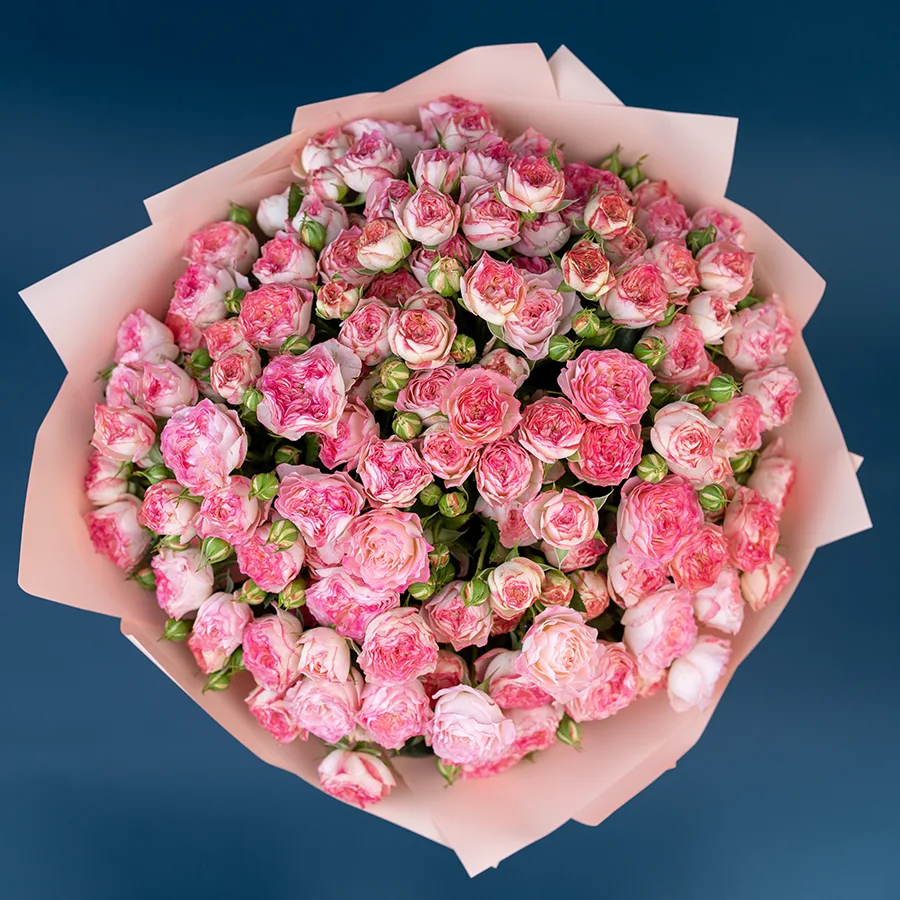 Букет из 29 нежно-розовых с яркими краями кустовых роз Свит Старс (02593)