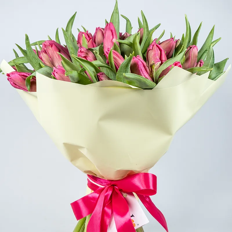 Букет из 49 розовых попугайных тюльпанов Марвел Пэррот (02054)