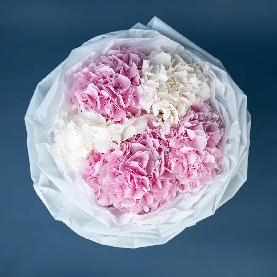 Букет из 5 розовых и белых гортензий Верена (02605)