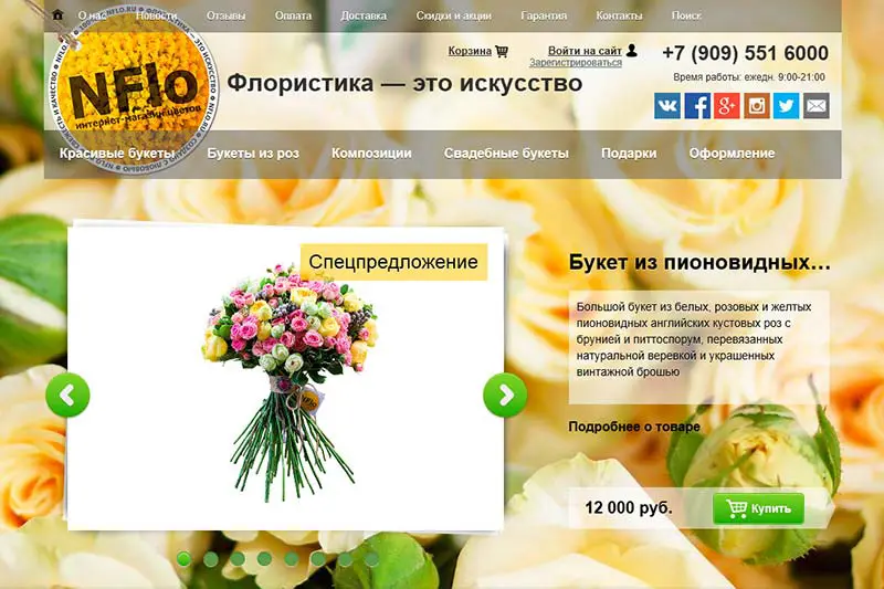 Первый сайт NFlo