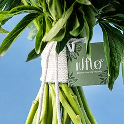 Карточка или открытка к букету бесплатно