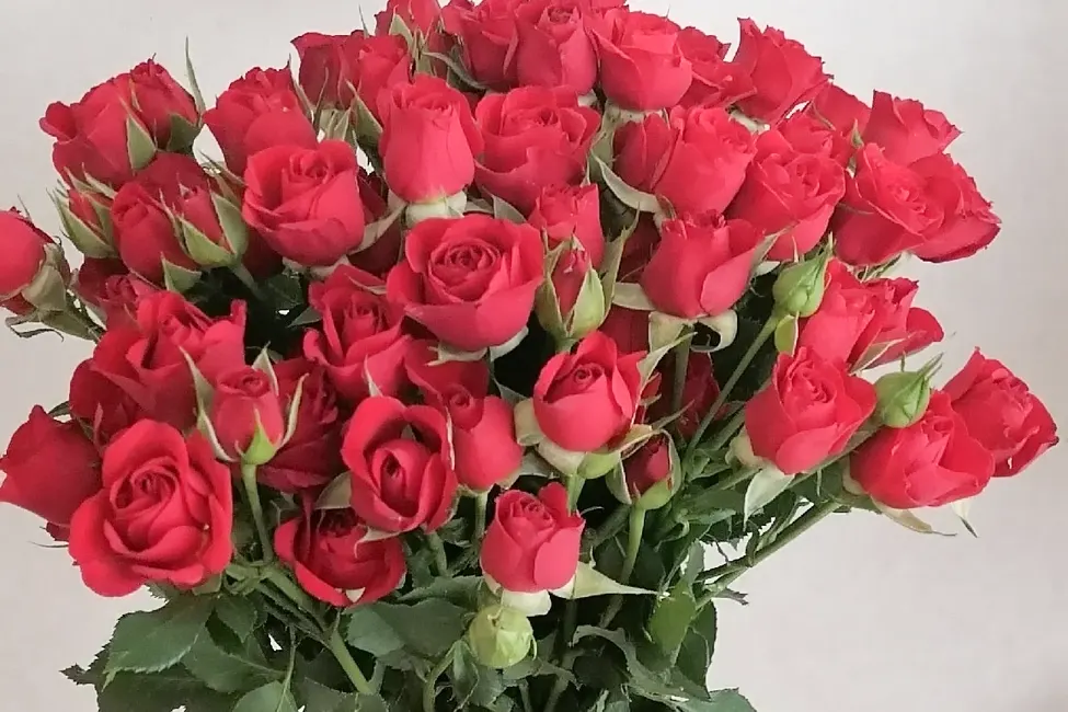 Такой подарил муж