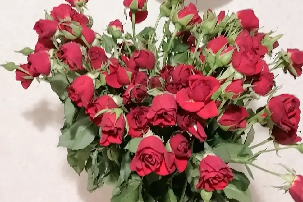 Такое стало через три часа