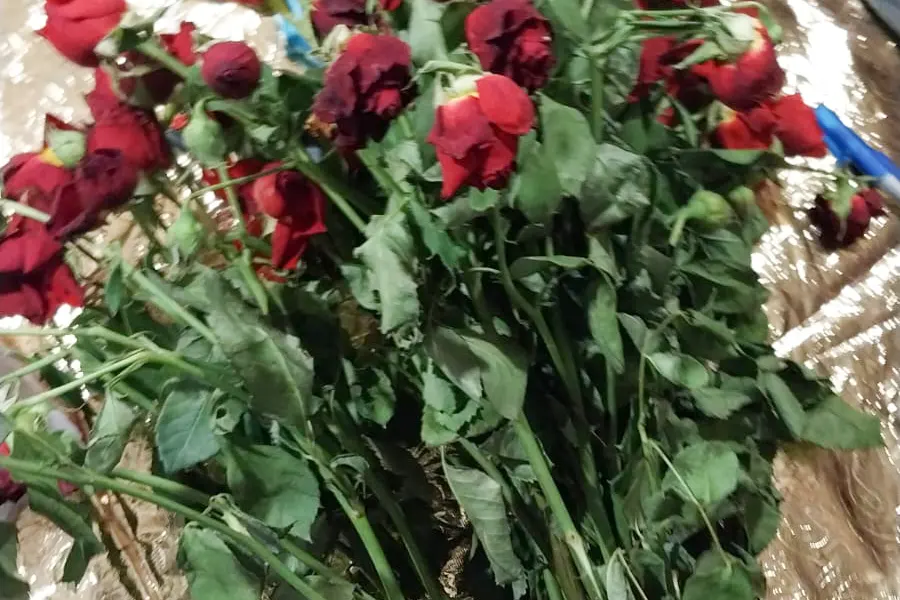 Цветы засохли как веник