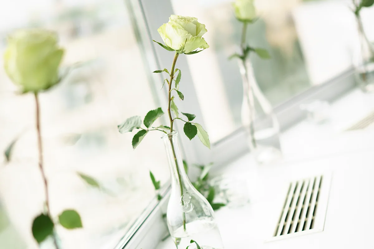 Роза в бутылке с водой (декор)