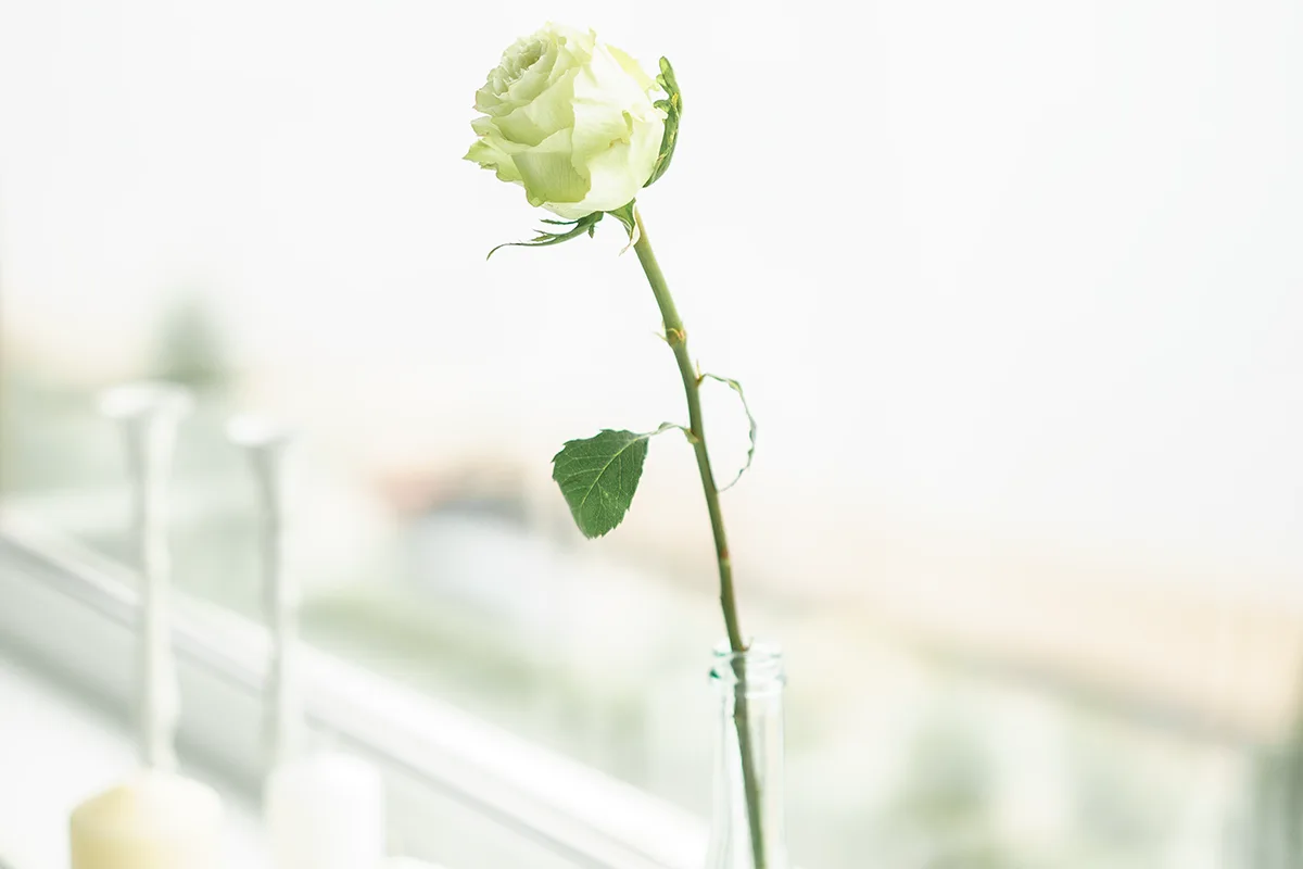 Роза в бутылке с водой (декор)