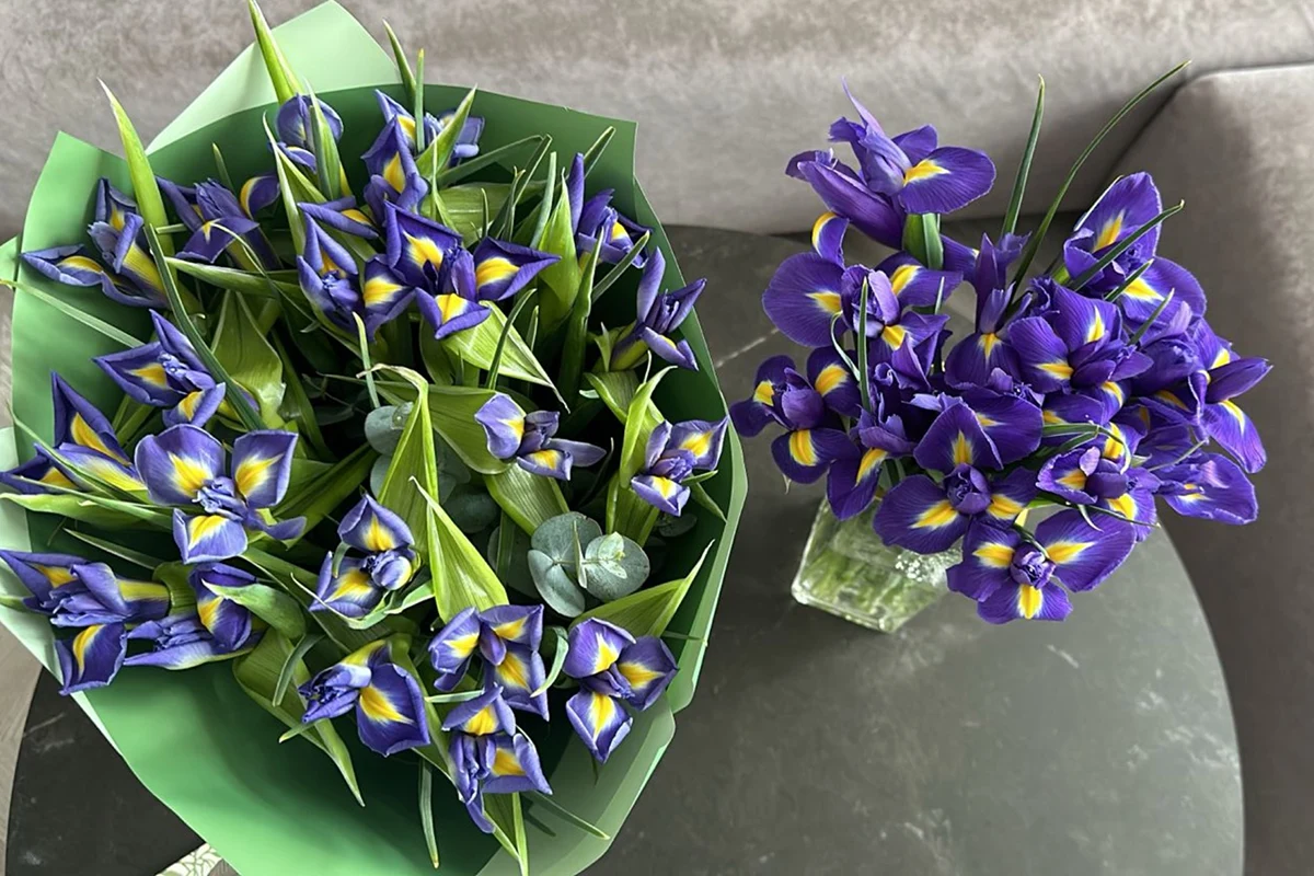 Букет свежих ирисов и букет странных ирисов