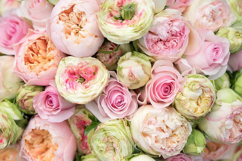 Раскрытие бутона