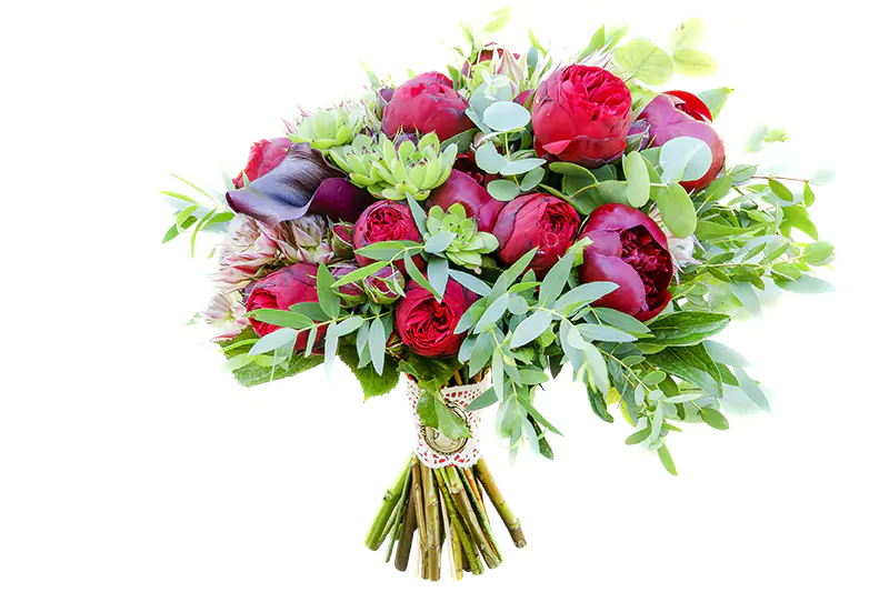 Свадебный растрёпанный букет из бордовых пионов Ред Шарм, роз Пиано и калл с эхевериями