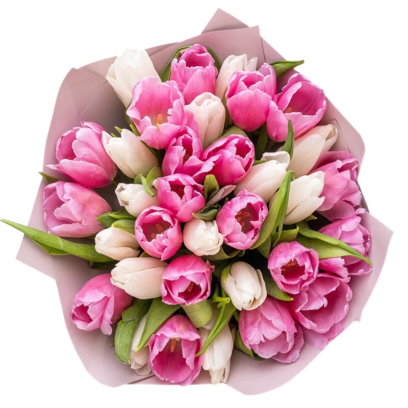 Букет из 33 белых и розовых тюльпанов (02031)