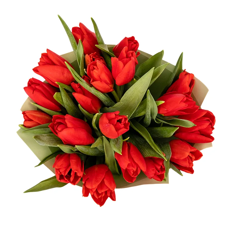 Букет из 19 красных тюльпанов (01895)