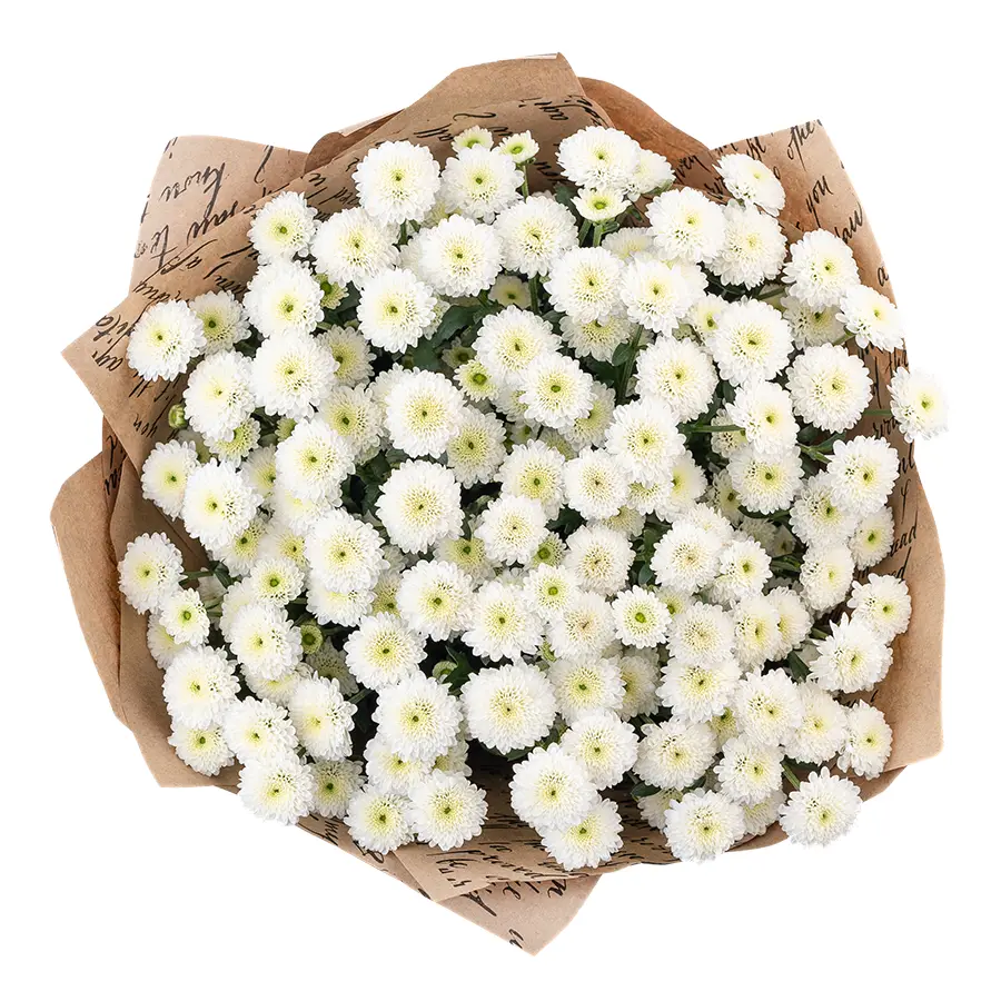Букет из 15 белых кустовых хризантем Сантини Калимеро Сноу (02689)