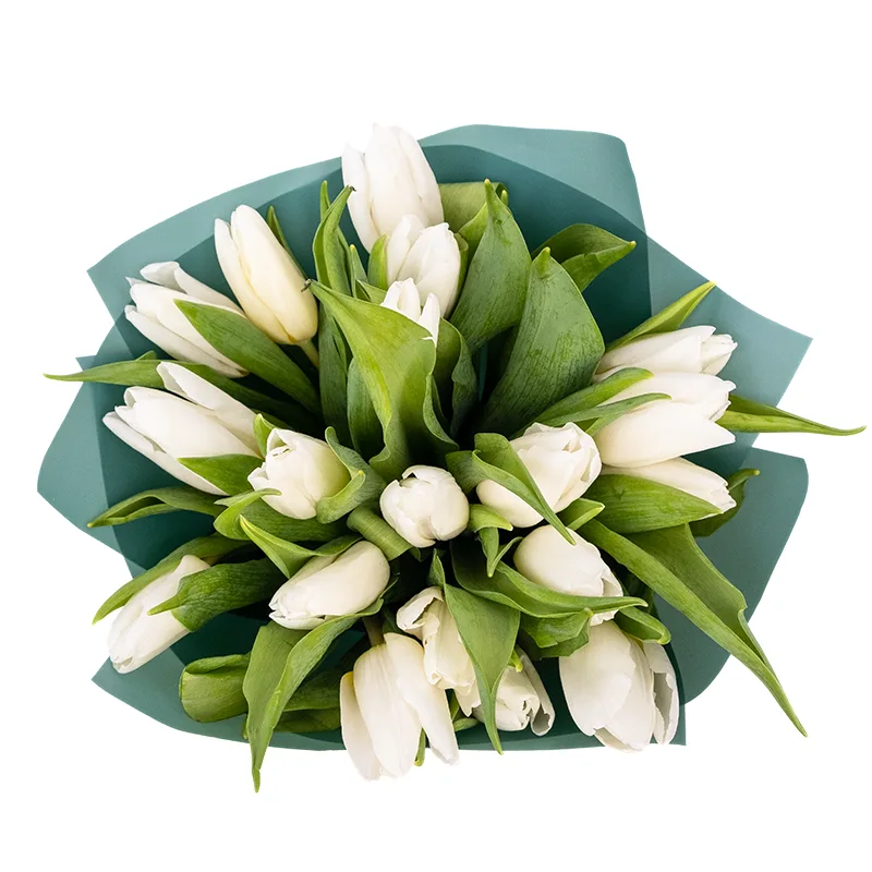 Букет из 19 белых тюльпанов (01911)