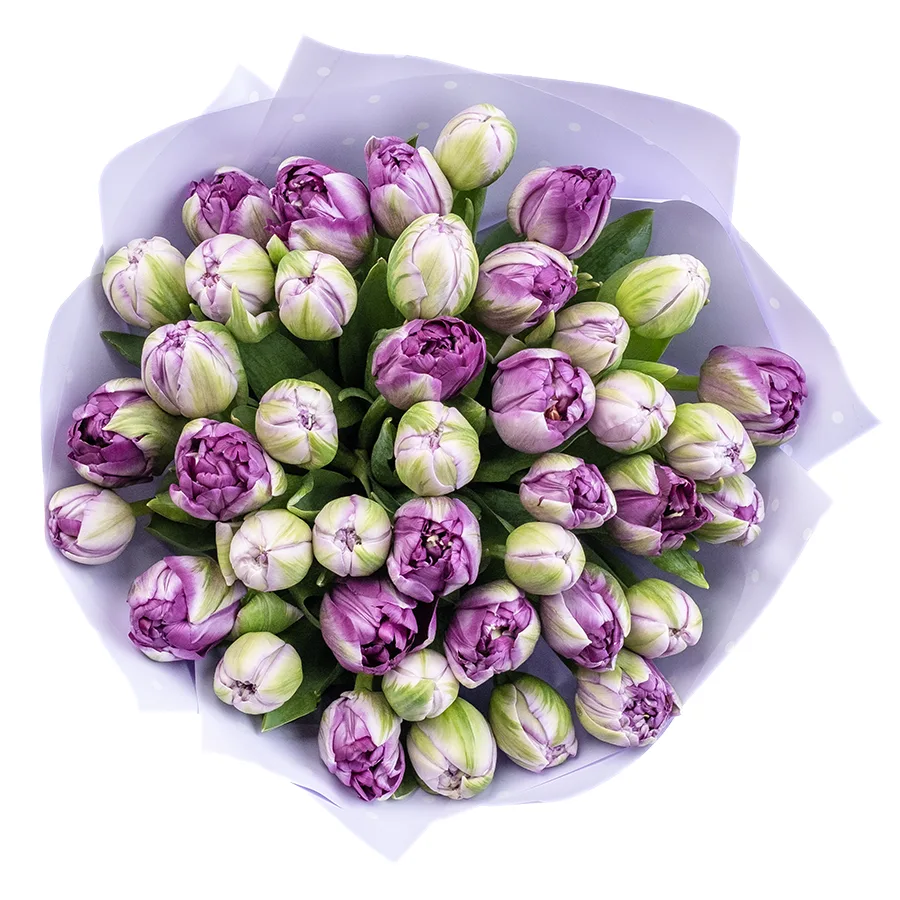 Букет из 41 фиолетового махрового тюльпана Сайгон (02382)