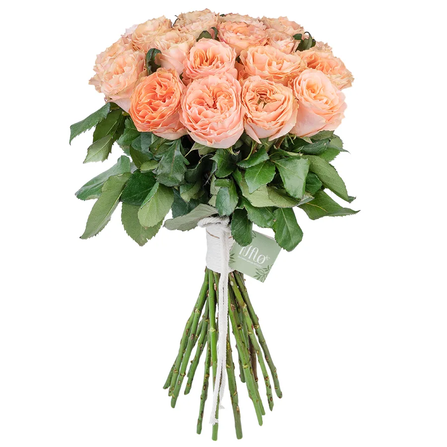 Букет из 21 нежно-персиковой пионовидной розы Принцесс Краун (03016)
