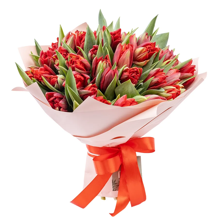 Букет из 45 красных махровых тюльпанов Ред Принцесс (02254)