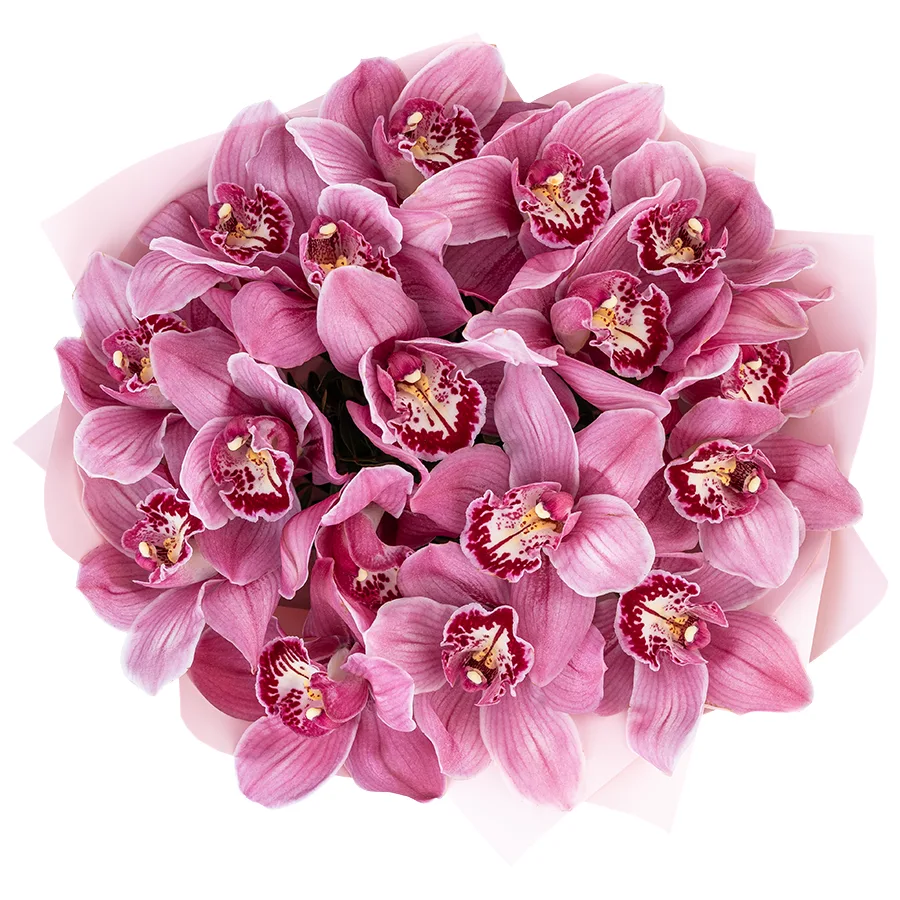 Букет из 17 розовых орхидей Цимбидиум (03058)