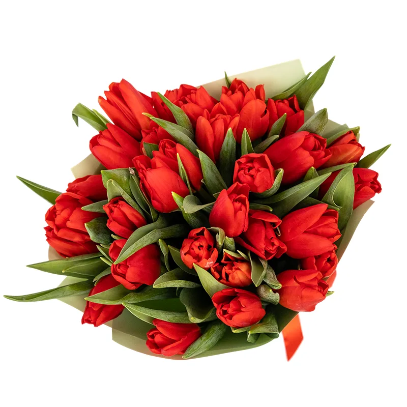 Букет из 29 красных тюльпанов (01890)