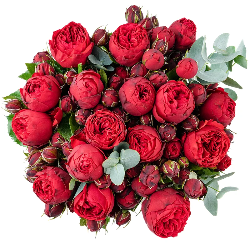 Букет из 19 красных пионовидных роз Пиано (01358)